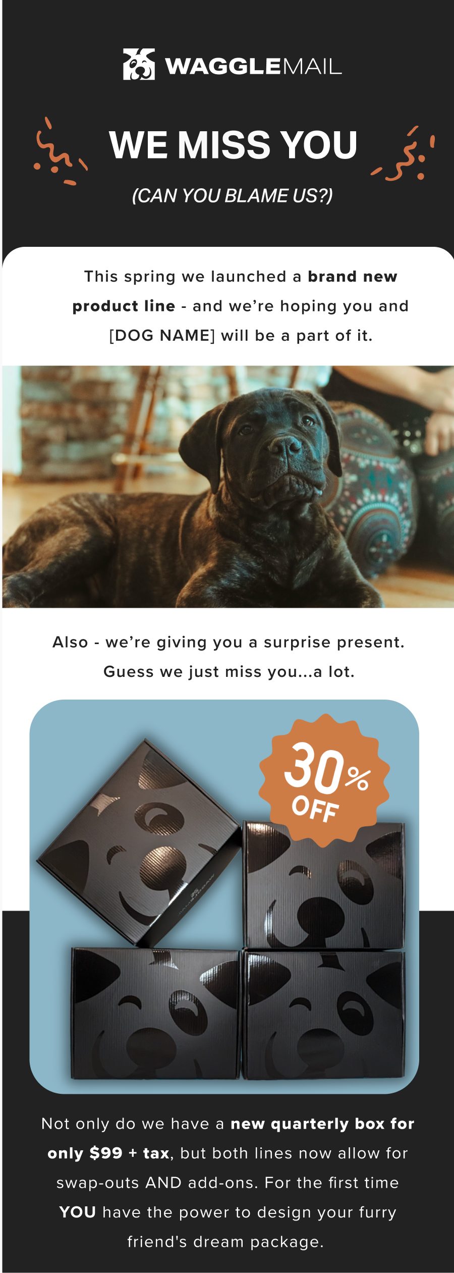 Wagglemail email design